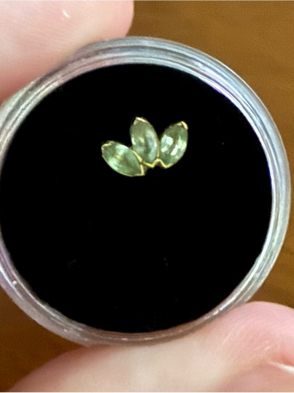 BVLA Gold-Set Green Marquise Crystal Studs - Women Jewelry